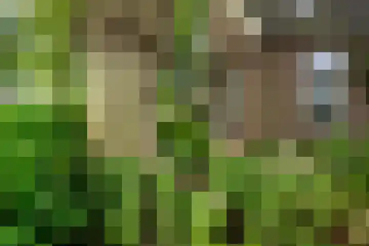 Rijksweg 56 Limmen thumbnail 66