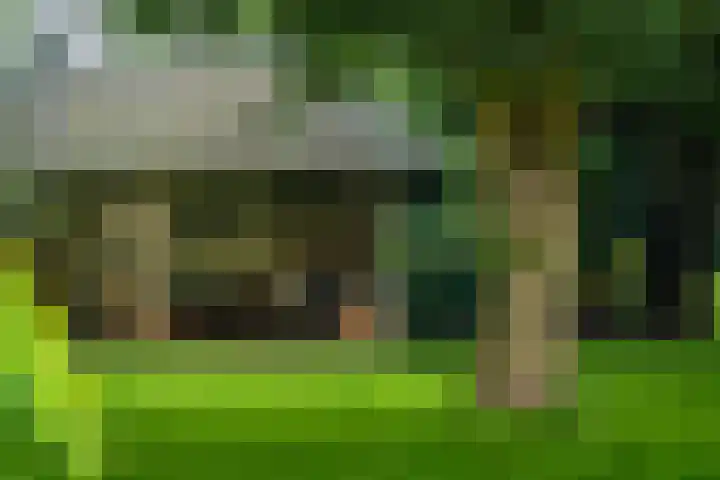 Rijksweg 56 Limmen thumbnail 67