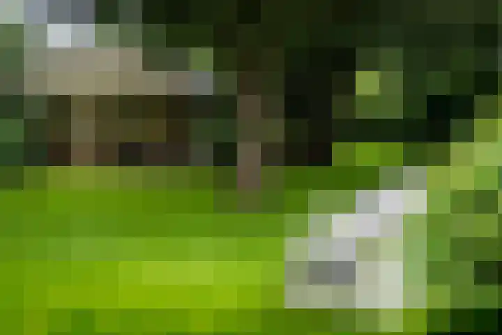 Rijksweg 56 Limmen thumbnail 69