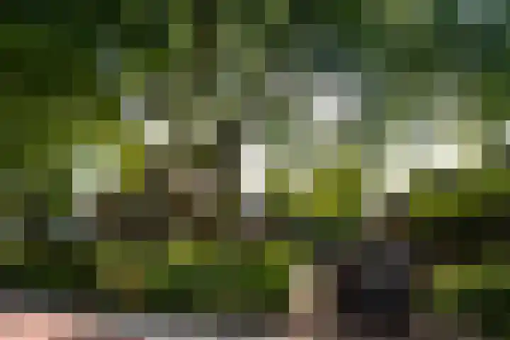 Rijksweg 56 Limmen thumbnail 70