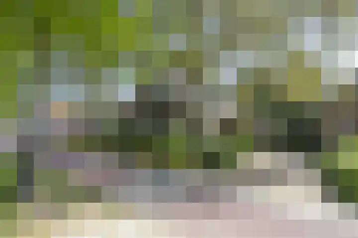 Rijksweg 56 Limmen thumbnail 78