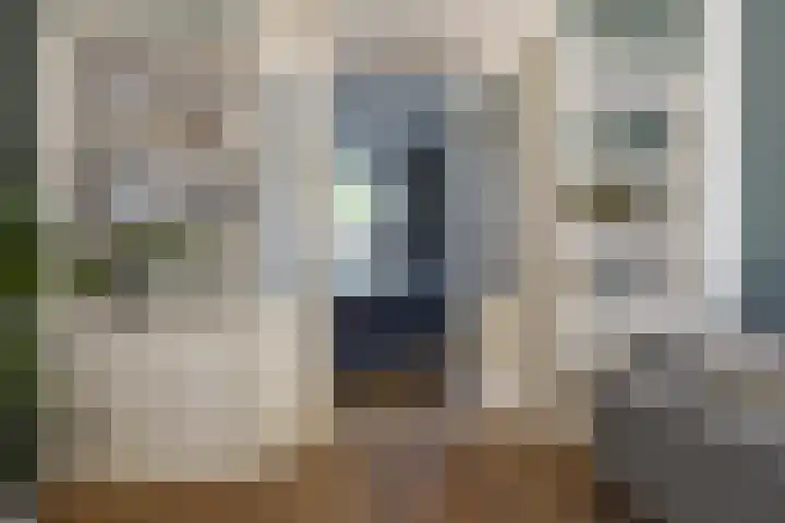 Rijksweg 56 Limmen thumbnail 9