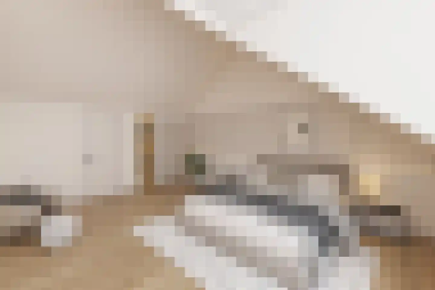 Rijksweg 56 Naarden thumbnail 27