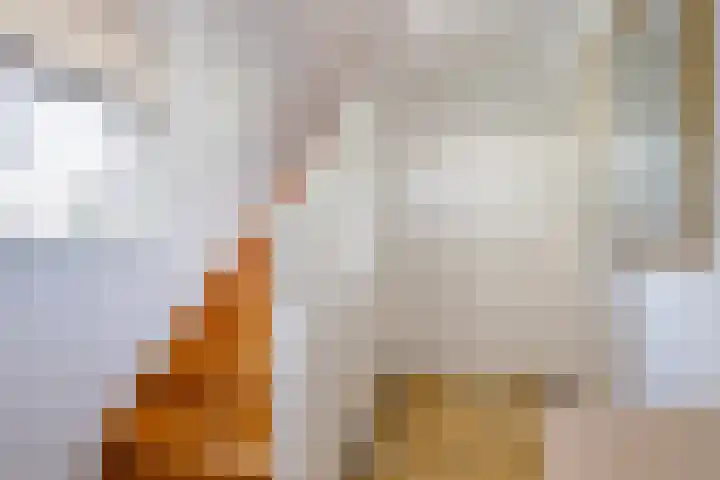 Rijksweg 57 Berg en Terblijt thumbnail 11