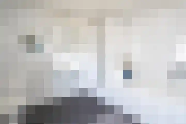 Rijksweg 57 Berg en Terblijt thumbnail 17