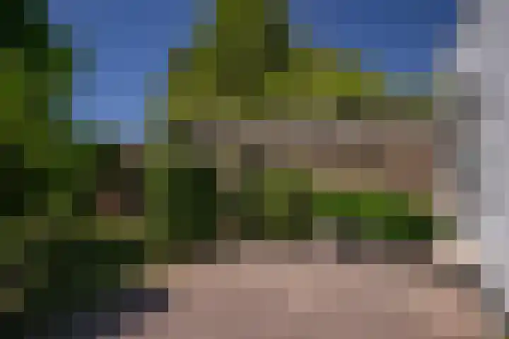 Rijksweg 57 Berg en Terblijt thumbnail 20