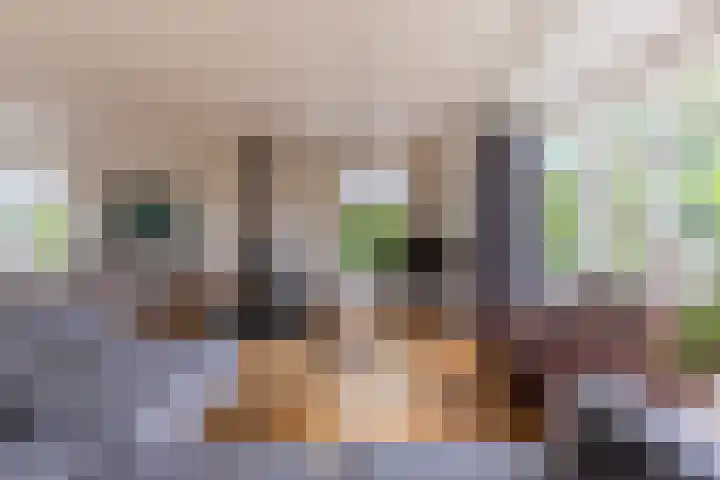 Rijksweg 60 A Malden thumbnail 11