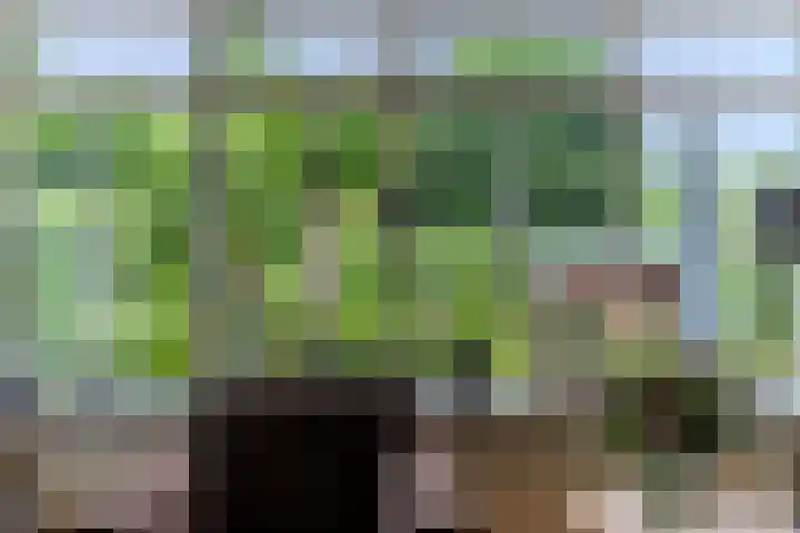 Rijksweg 60 A Malden thumbnail 15