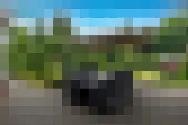 Rijksweg 60 A Malden thumbnail 16