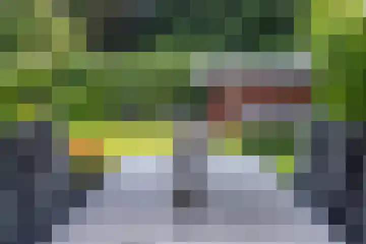 Rijksweg 60 A Malden thumbnail 17