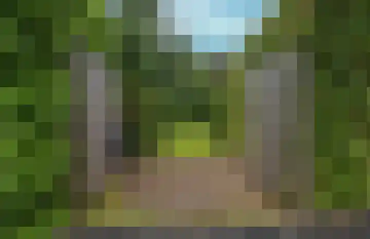 Rijksweg 60 A Malden thumbnail 32