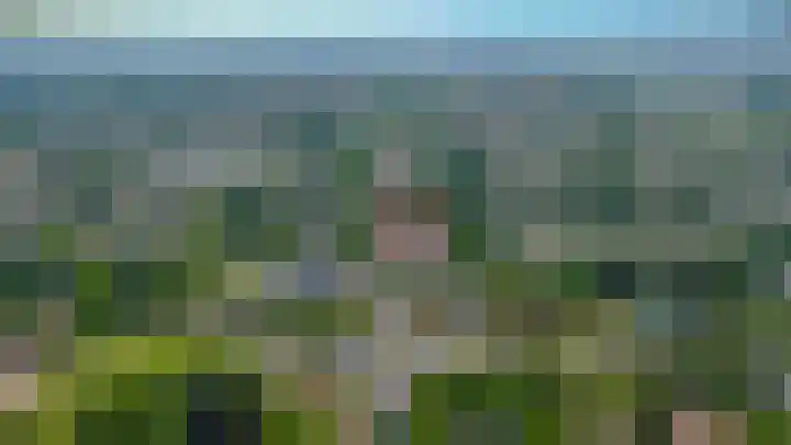 Rijksweg 60 A Malden thumbnail 37