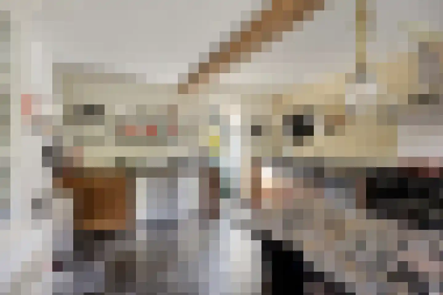 Rijksweg 60 Gronsveld thumbnail 12