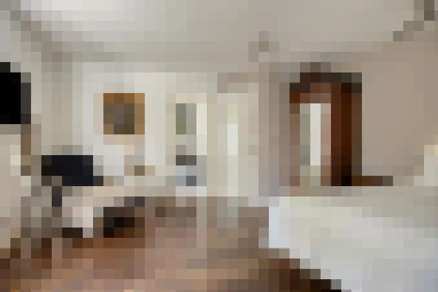 Rijksweg 60 Gronsveld thumbnail 19