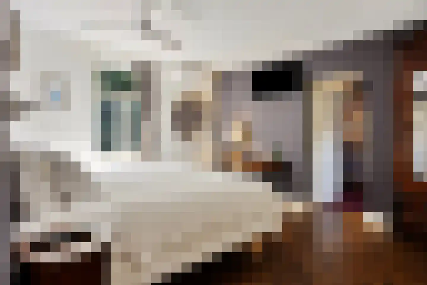 Rijksweg 60 Gronsveld thumbnail 21