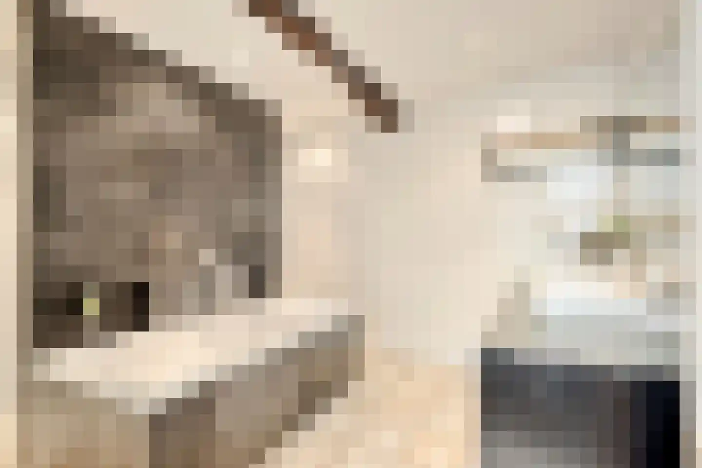 Rijksweg 60 Gronsveld thumbnail 25
