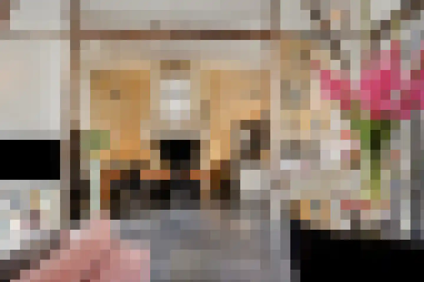 Rijksweg 60 Gronsveld thumbnail 31
