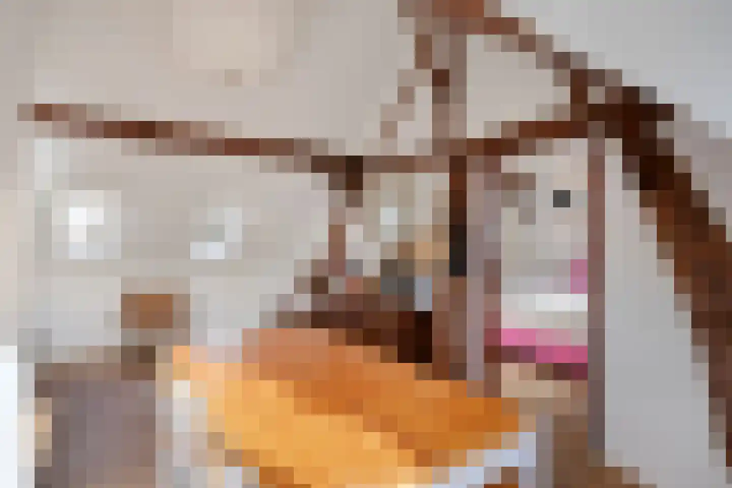 Rijksweg 60 Gronsveld thumbnail 40