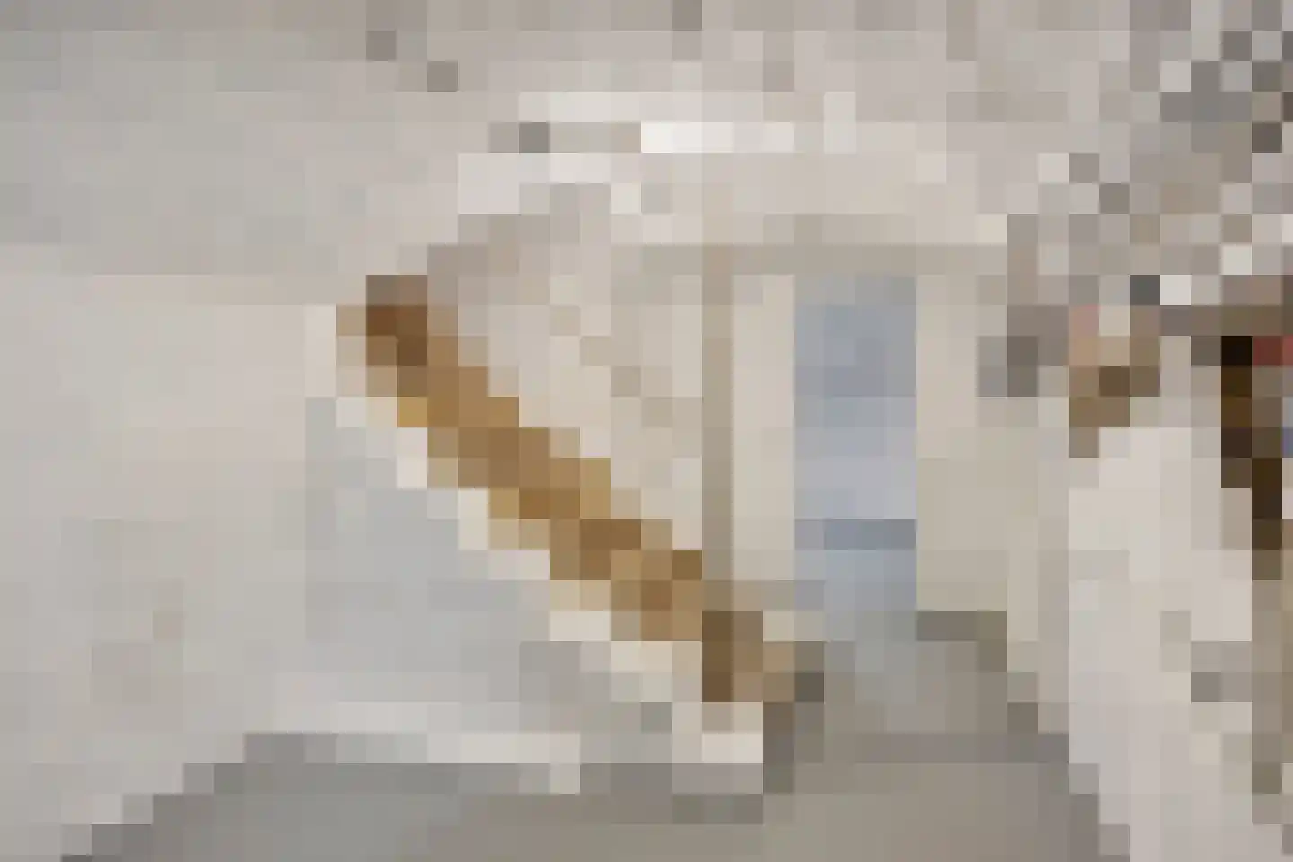 Rijksweg 60 Gronsveld thumbnail 43