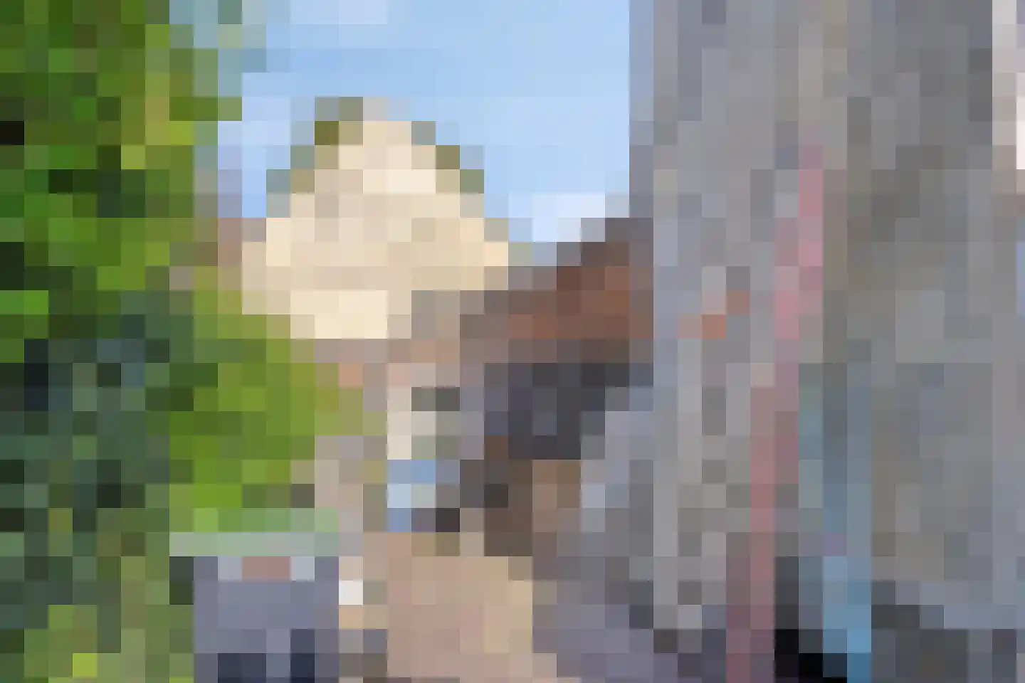 Rijksweg 60 Gronsveld thumbnail 48