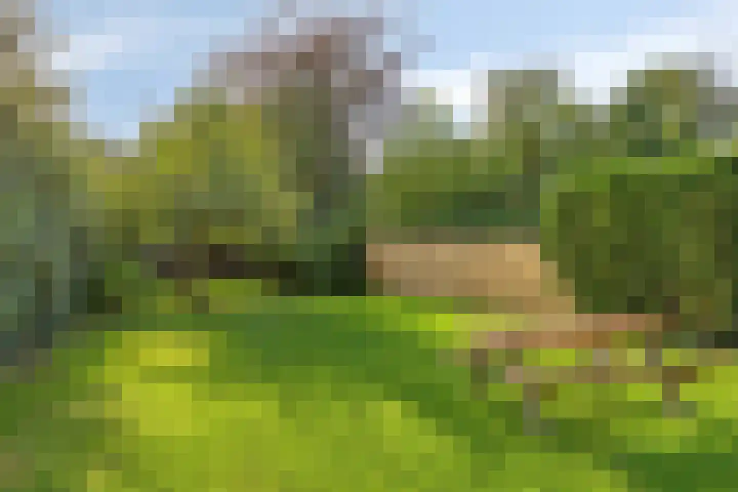Rijksweg 60 Gronsveld thumbnail 49