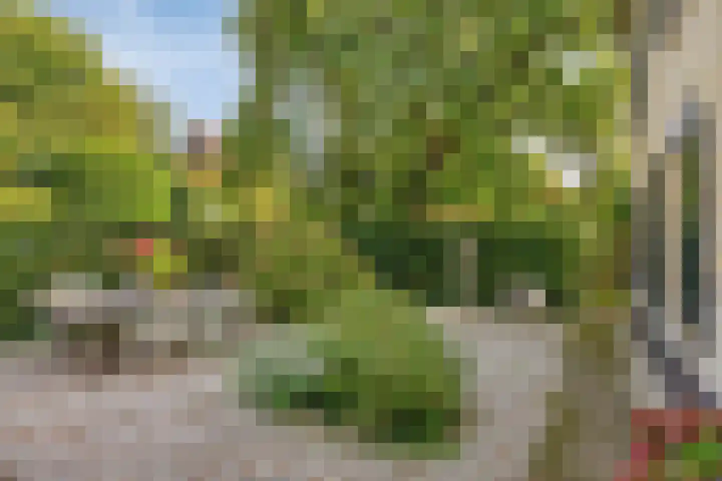 Rijksweg 60 Gronsveld thumbnail 5