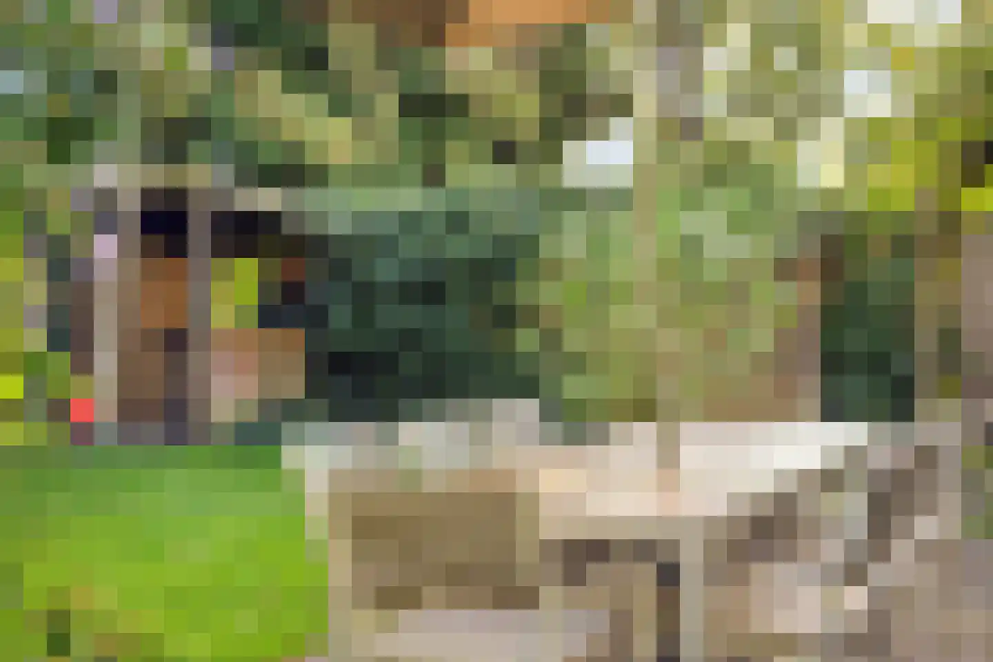 Rijksweg 60 Gronsveld thumbnail 58