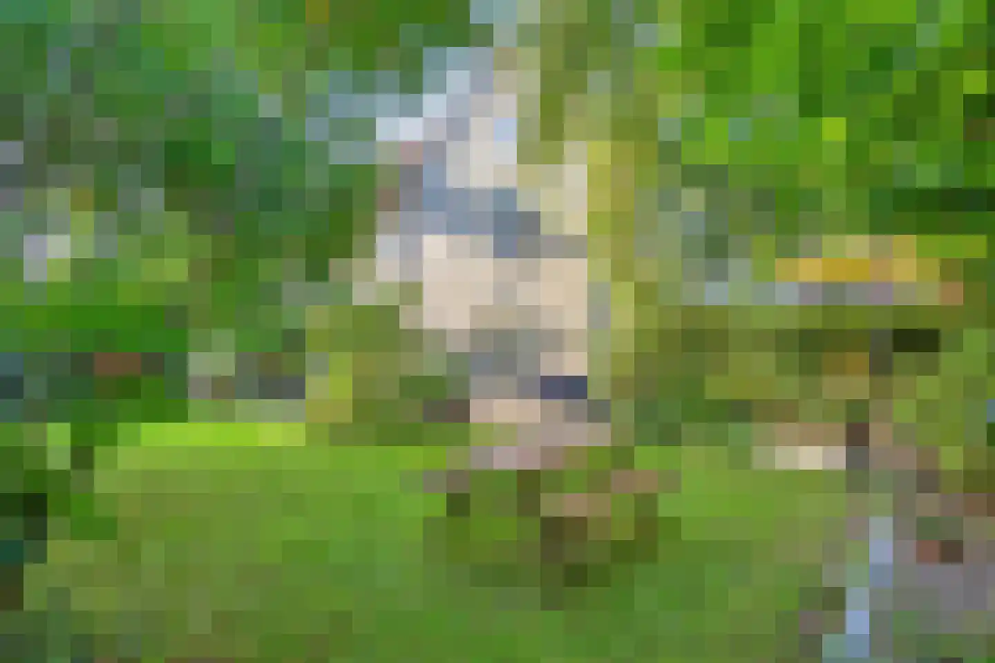 Rijksweg 60 Gronsveld thumbnail 60
