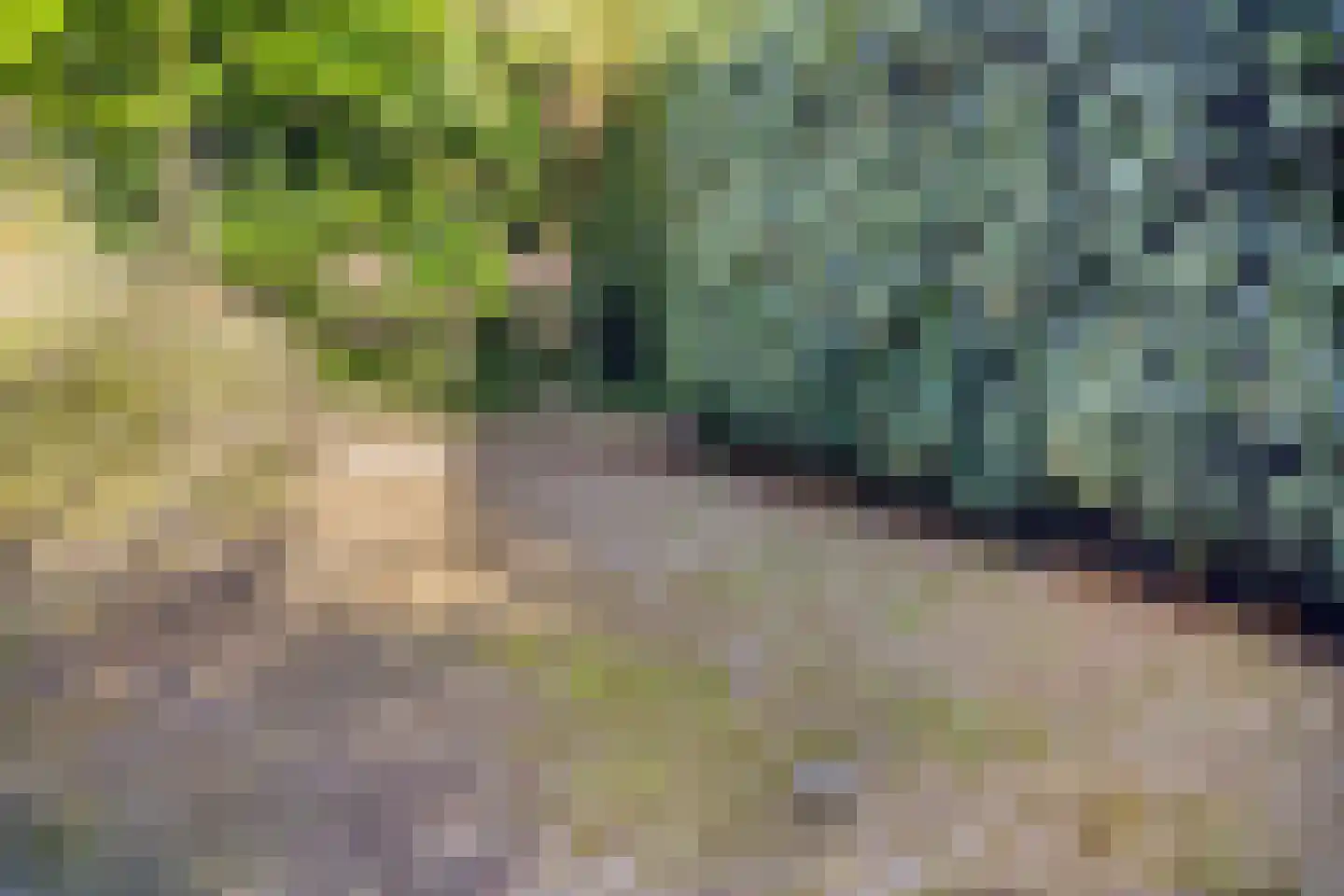 Rijksweg 60 Gronsveld thumbnail 62