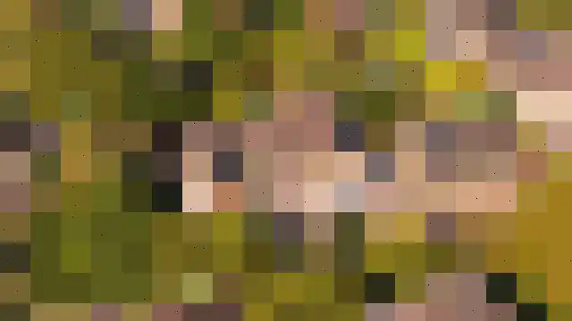 Rijksweg 60 Gronsveld thumbnail 64