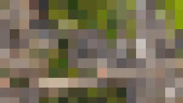 Rijksweg 60 Gronsveld thumbnail 65