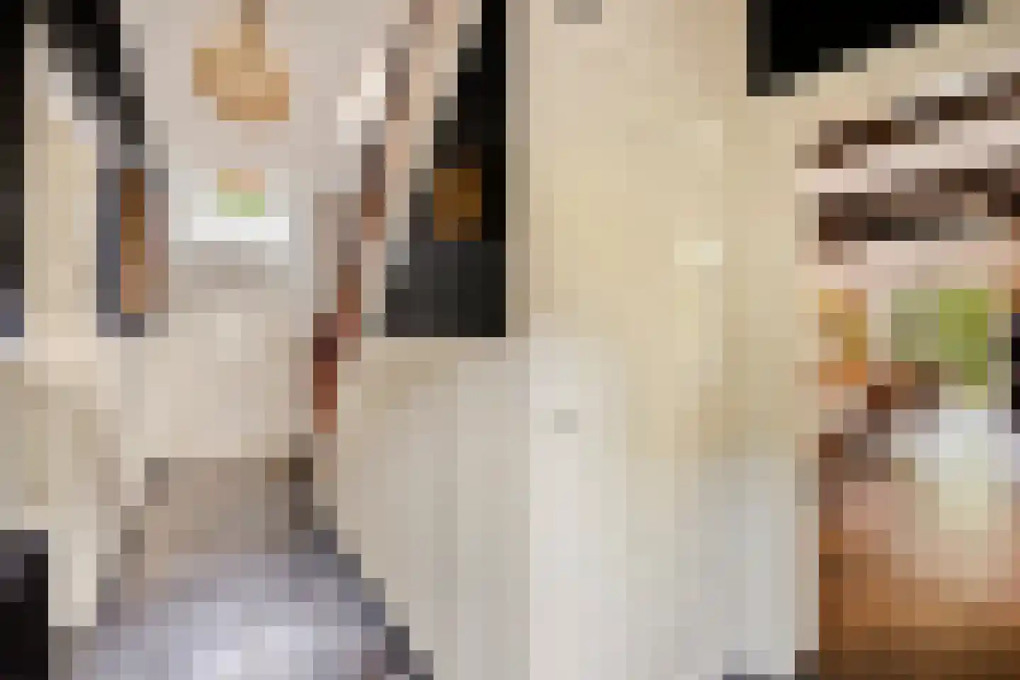 Rijksweg 60 Gronsveld thumbnail 9
