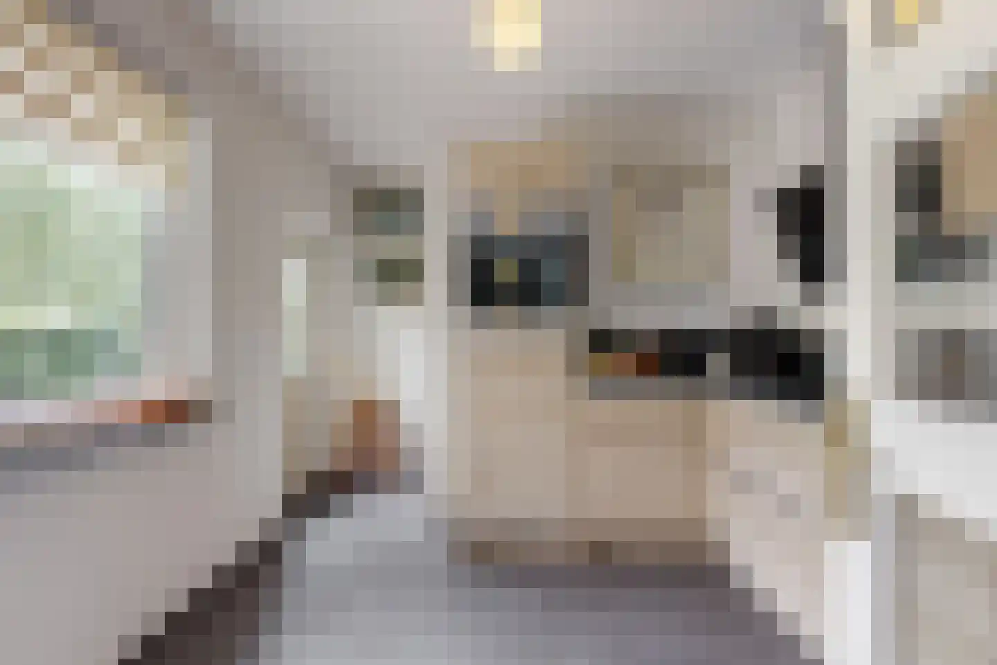 Rijksweg 60 Reuver thumbnail 17