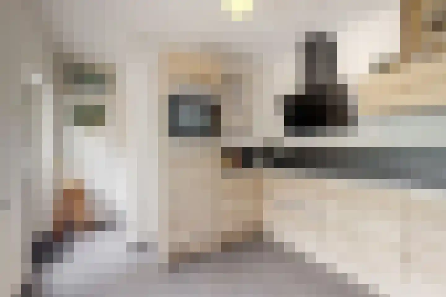 Rijksweg 60 Reuver thumbnail 18