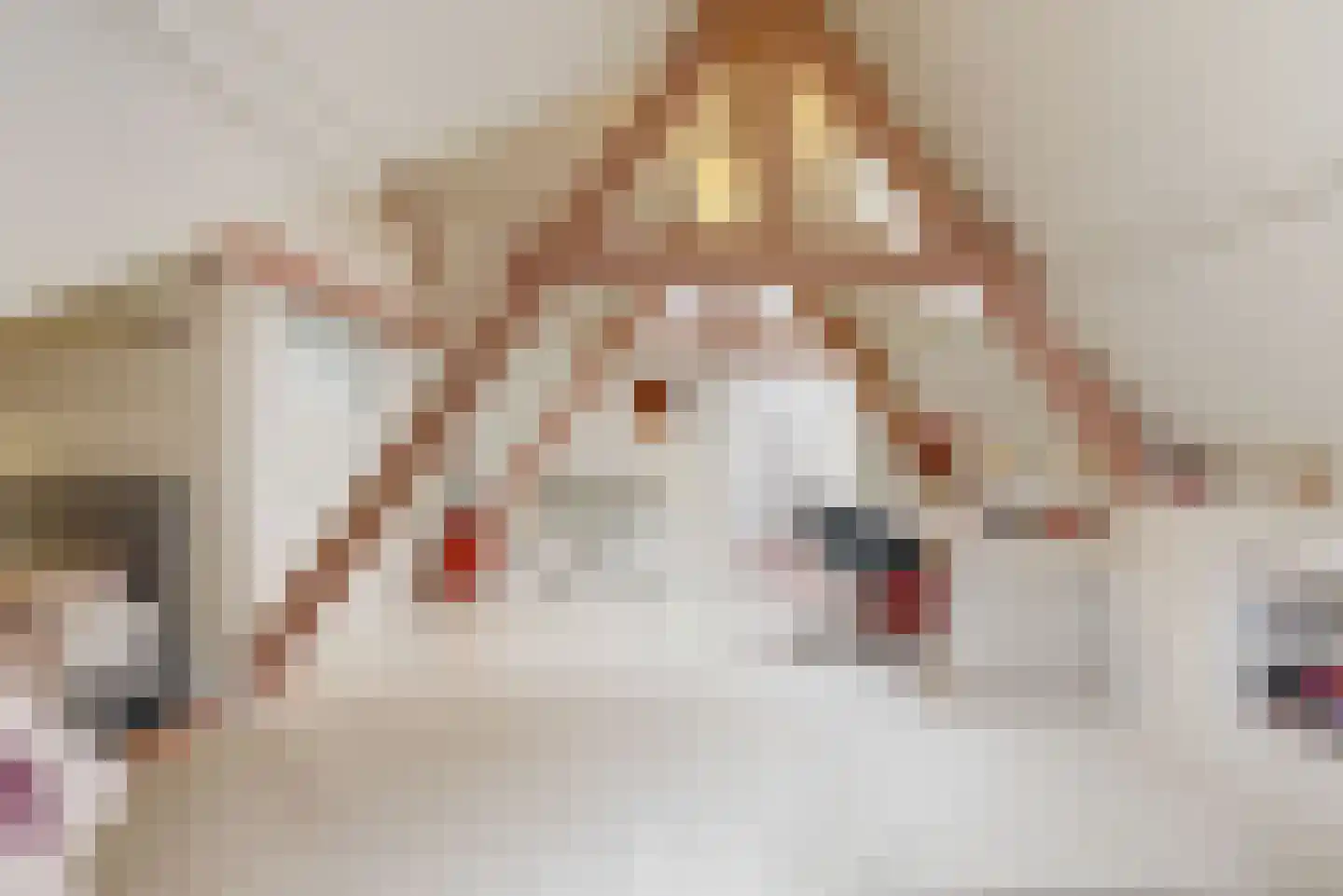 Rijksweg 60 Reuver thumbnail 30