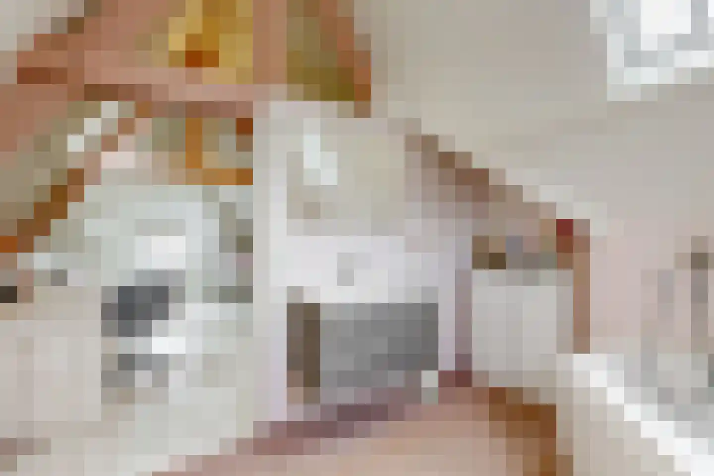 Rijksweg 60 Reuver thumbnail 32