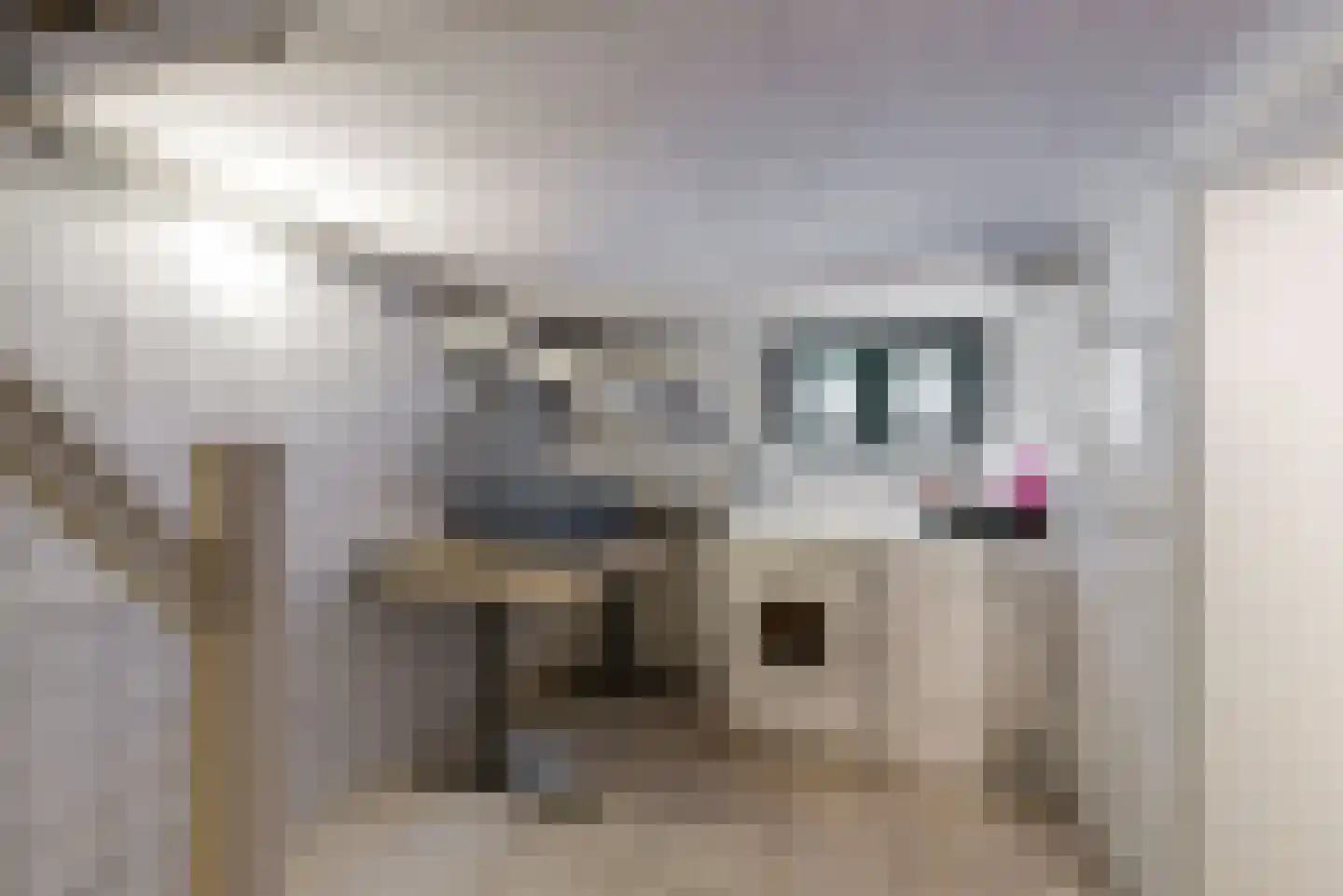 Rijksweg 60 Reuver thumbnail 36