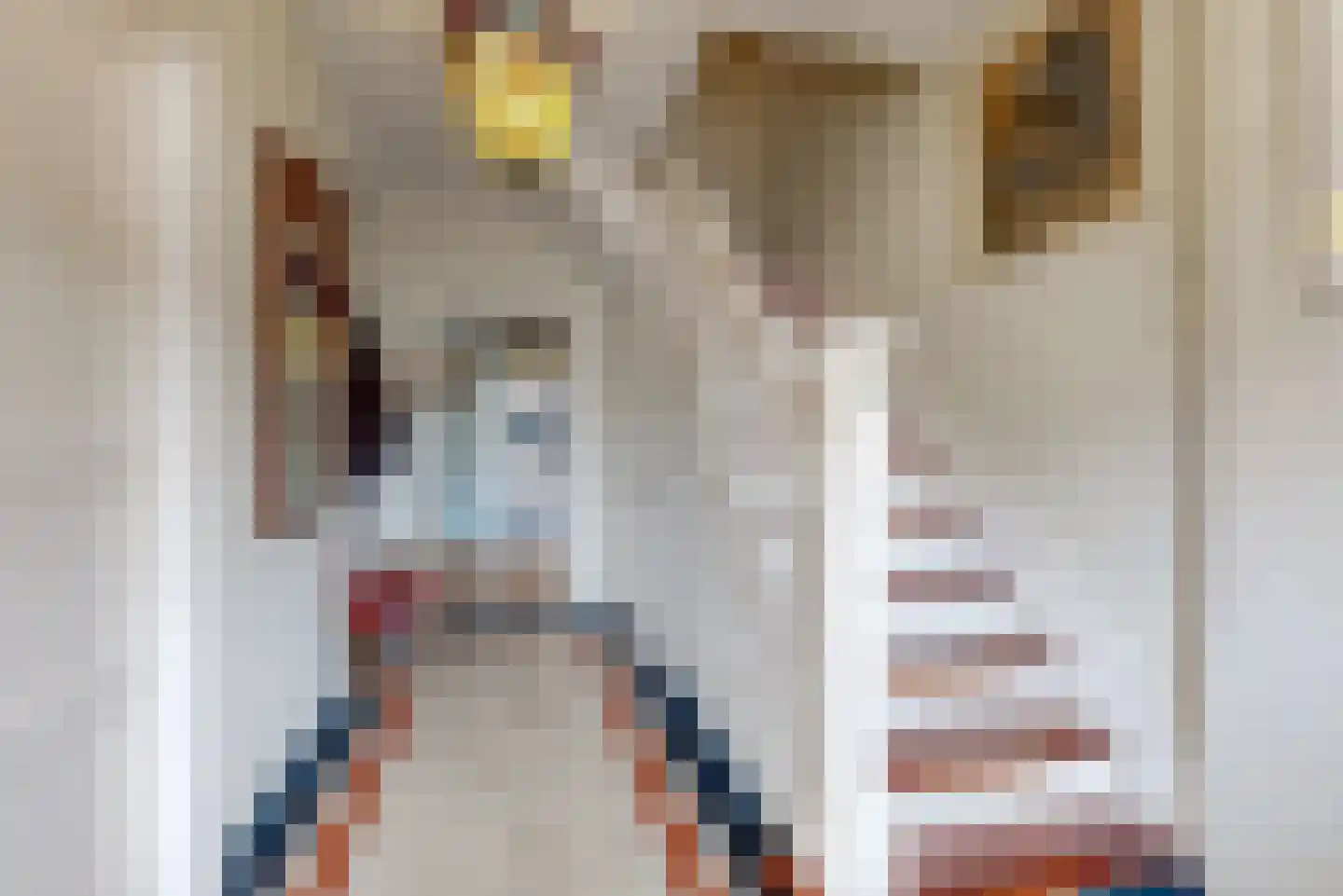Rijksweg 60 Reuver thumbnail 4