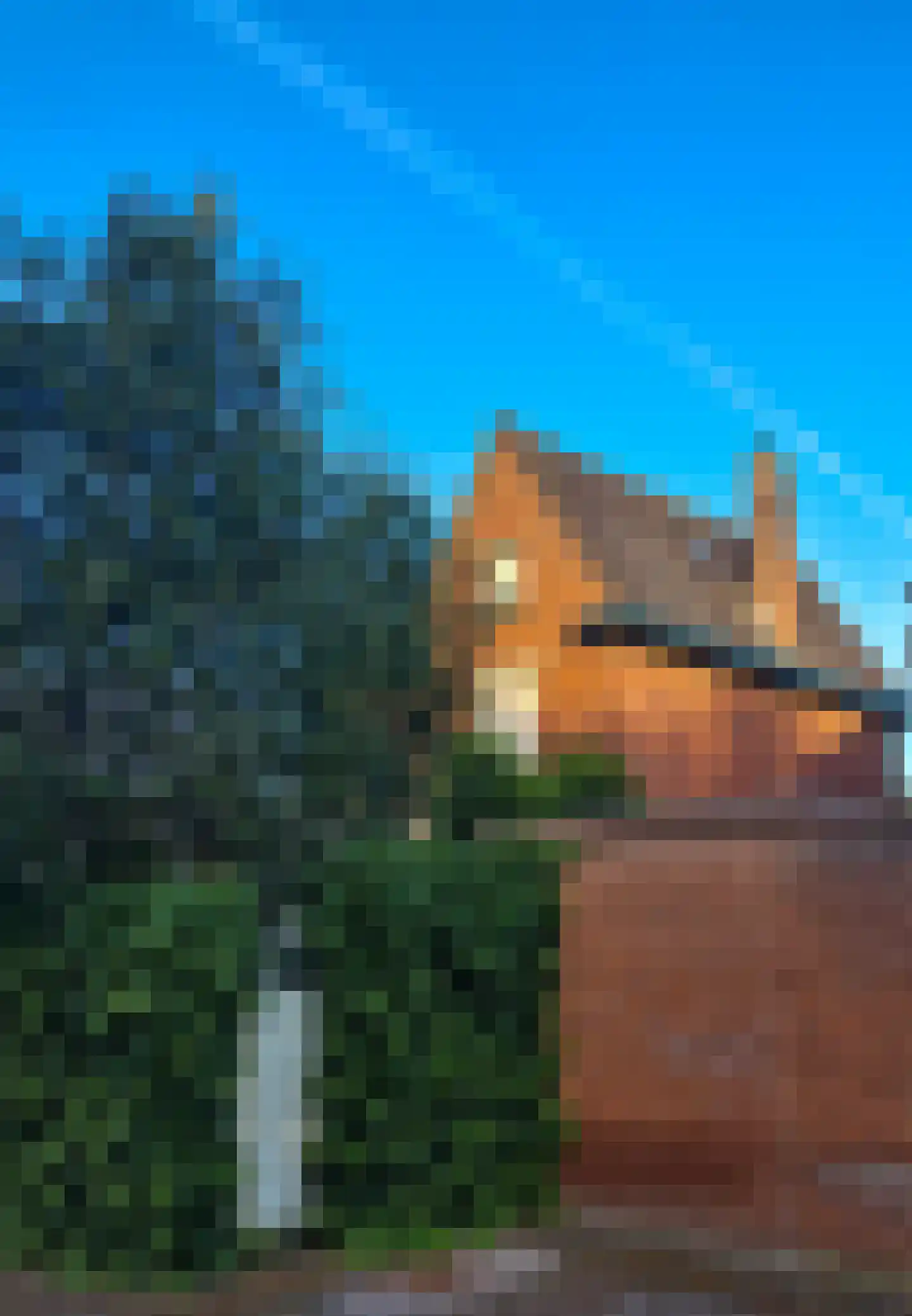 Rijksweg 60 Reuver thumbnail 47