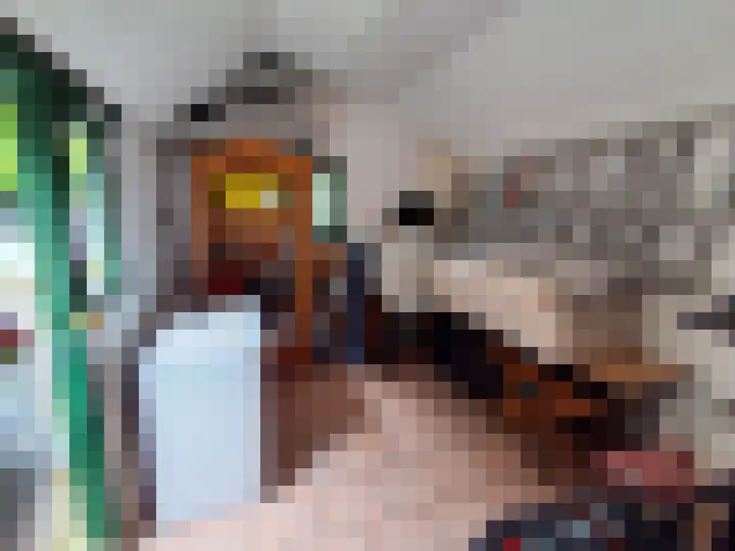 Rijksweg 60 Reuver thumbnail 52