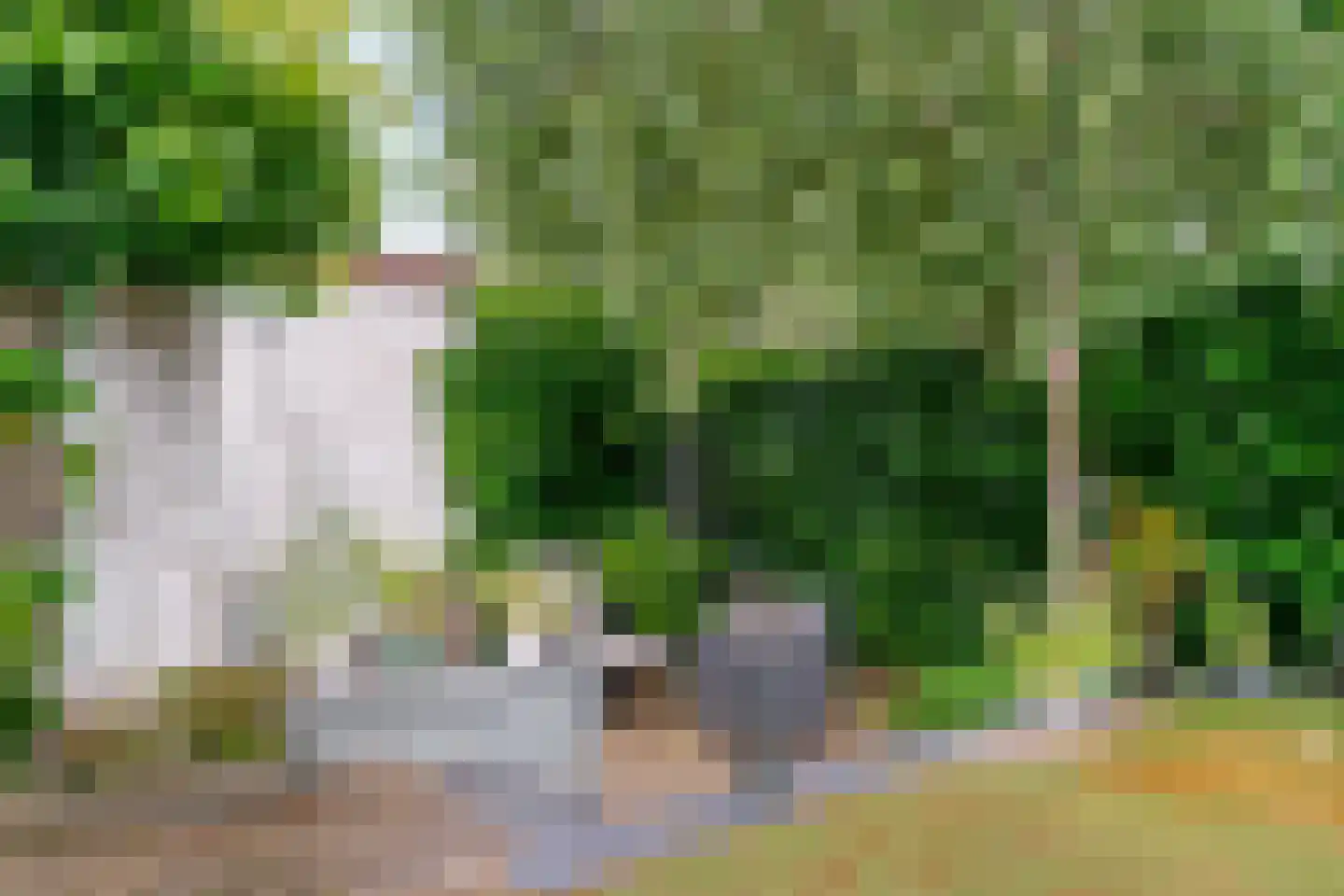 Rijksweg 60 Reuver thumbnail 55