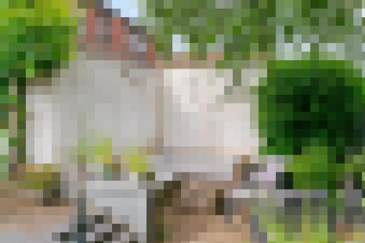 Rijksweg 60 Reuver thumbnail 56