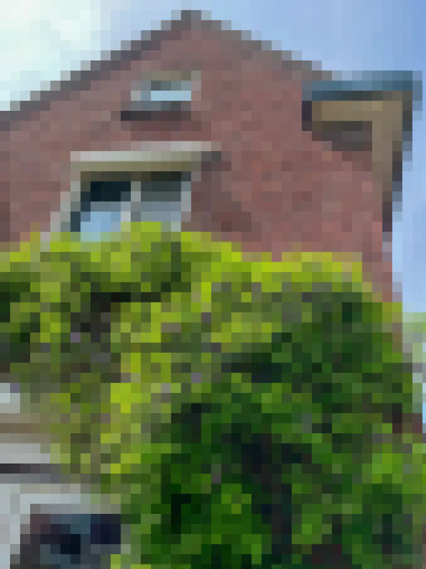 Rijksweg 60 Reuver thumbnail 60