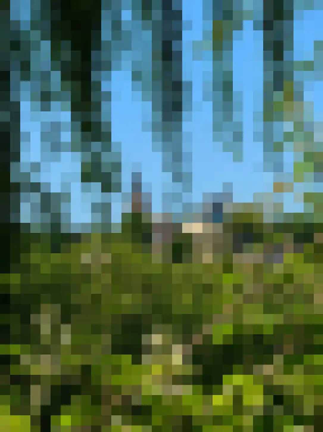 Rijksweg 60 Reuver thumbnail 67