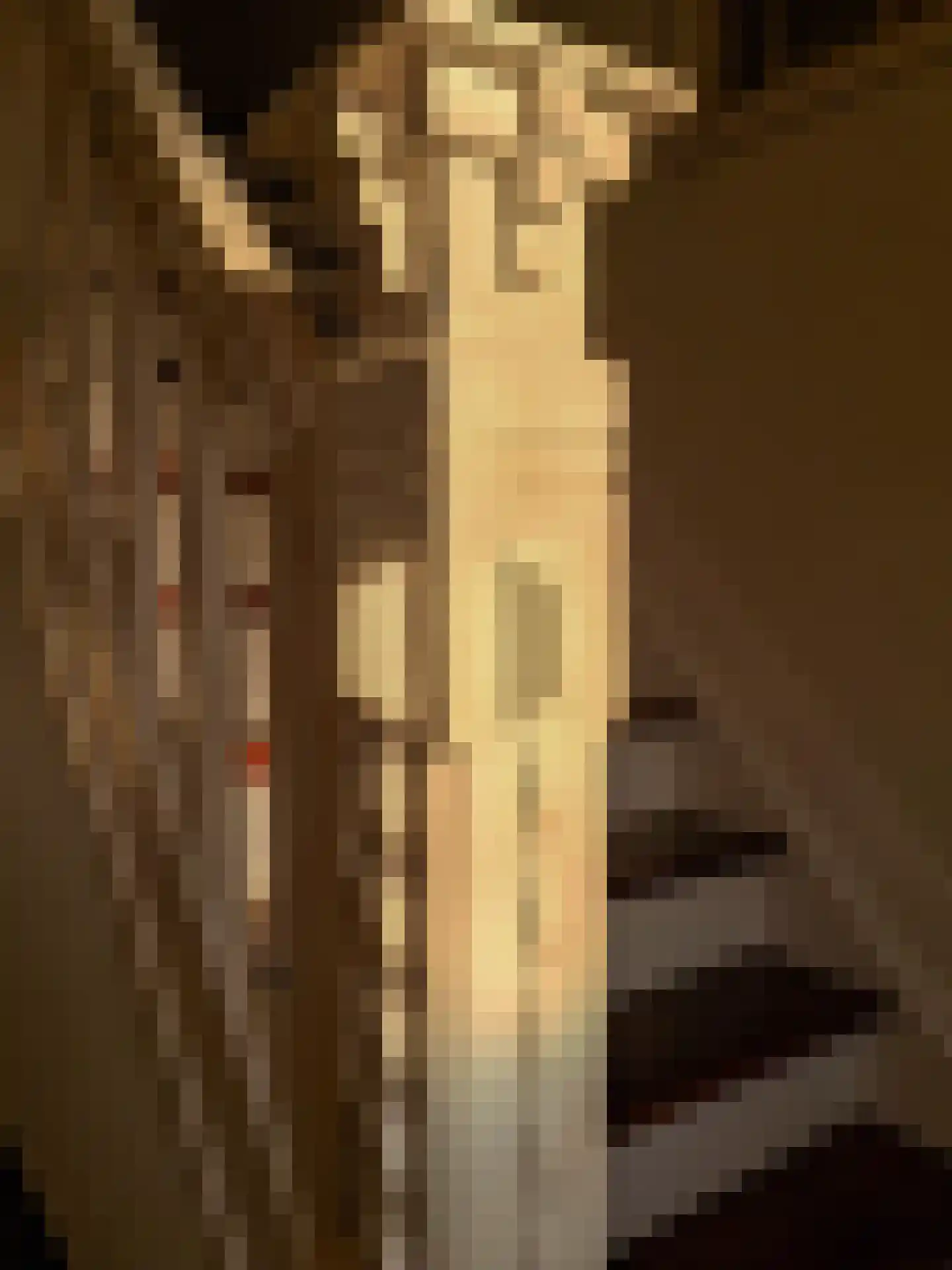 Rijksweg 60 Reuver thumbnail 7