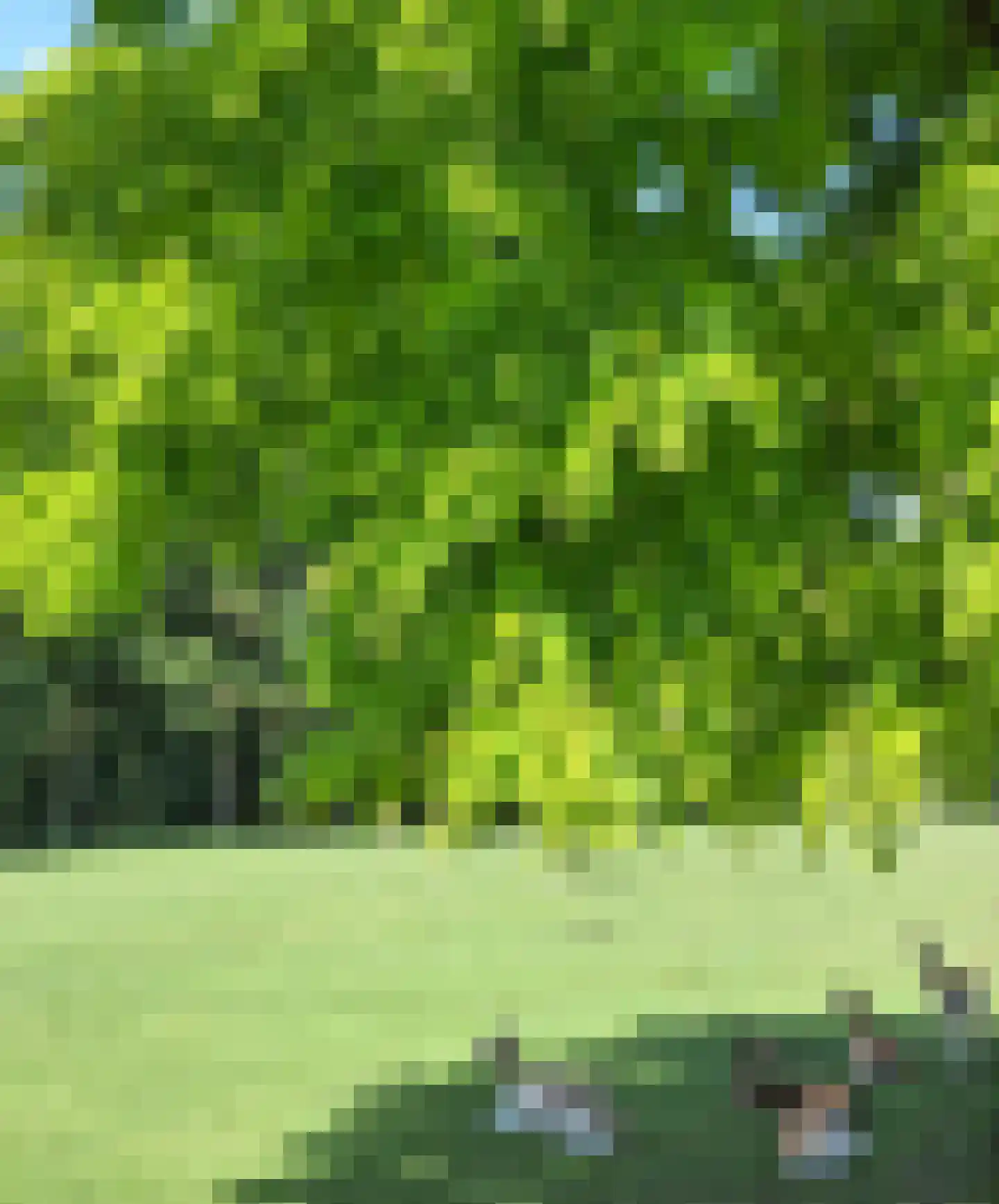 Rijksweg 60 Reuver thumbnail 70