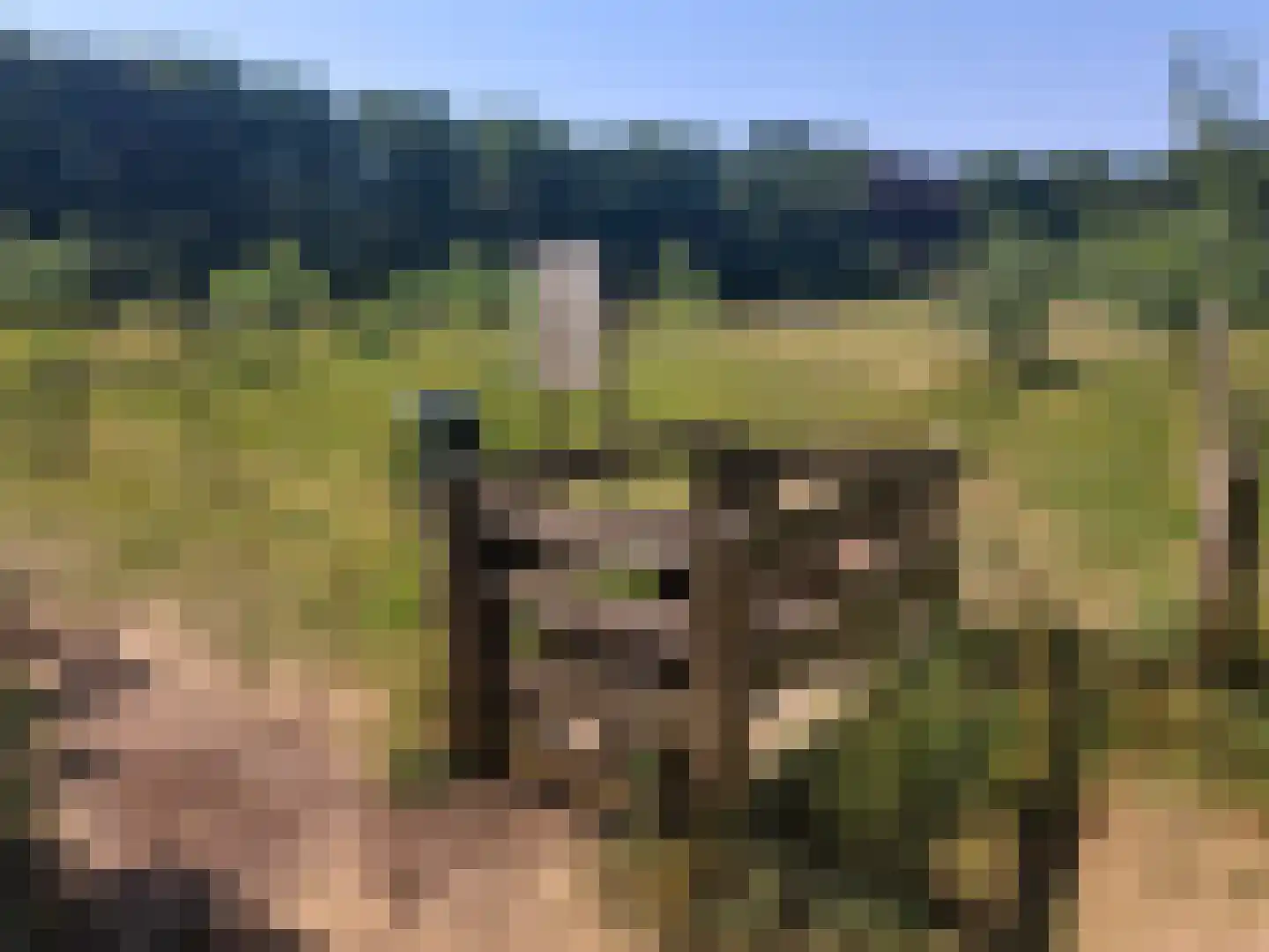 Rijksweg 60 Reuver thumbnail 72
