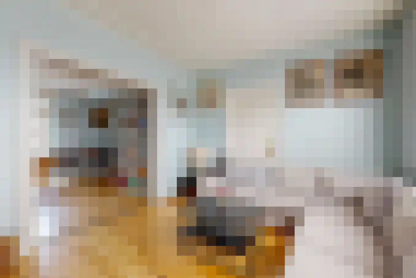 Rijksweg 60 Reuver thumbnail 8
