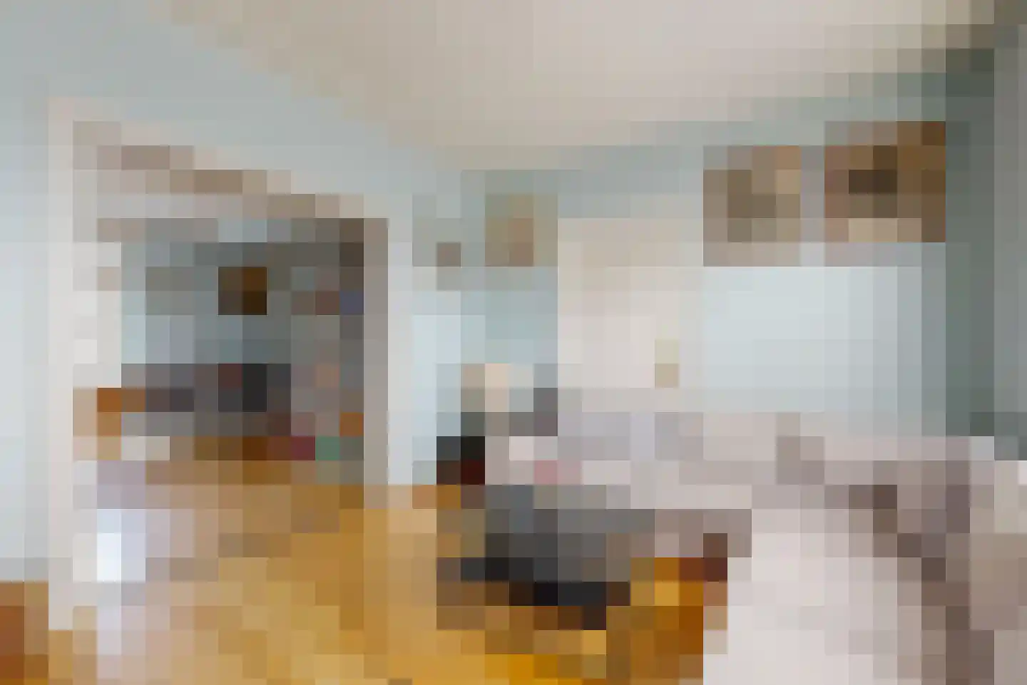 Rijksweg 60 Reuver thumbnail 8