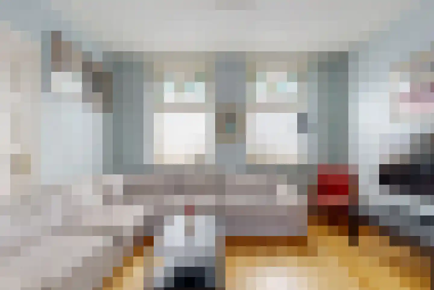 Rijksweg 60 Reuver thumbnail 9